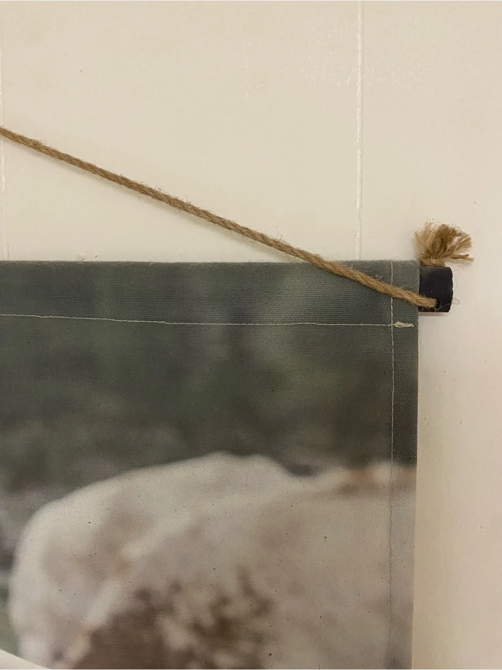 Hobby Lobby Longhorn Canvas Wall Hanging - Brown & White